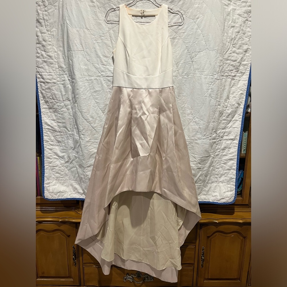 Eliza J High/Low Gown (size 4) - Picture 3 of 16